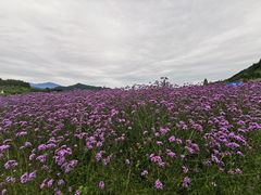 -龙苍沟森林公园
