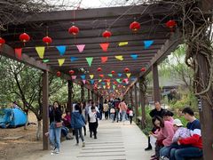 -白马涧龙池景区