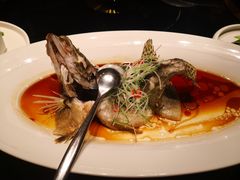 清蒸桂鱼-粗茶淡饭·汉口公馆(循礼门店)