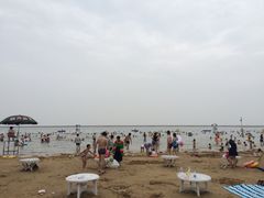 -碧海金沙