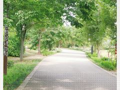 -鹅湖玫瑰文化园