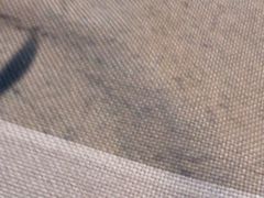 -解家河南菜(金水路店)