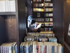 -思南书局(复兴中路店)