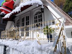 -弦月窗LUNETTE BY AMANDA(复兴路店)