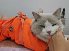 -荔康动物医院(康王北路店)