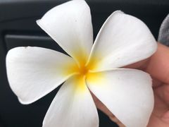 -芭提雅Amporn Seafood自助餐厅