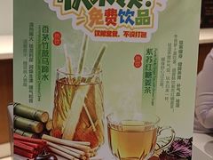 -美食小镇·观赏珍稀鸟类·长隆熊猫酒店