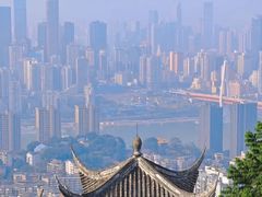 -南山植物园