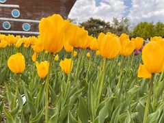 -长春公园(普阳街道)