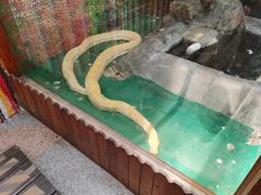 -上海大自然野生昆虫馆