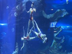 -多彩贵州城极地海洋世界