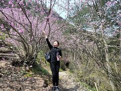 -天台山赤城山景区