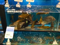 水产区-盒马鲜生(宝地店)