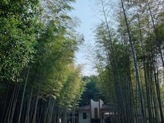 -求雨山文化公园