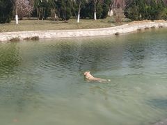 -绿岛公园(滨海新区)