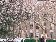 -山东师范大学(千佛山校区)
