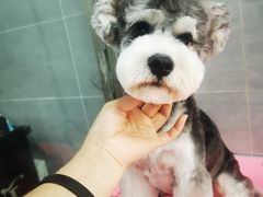 -宠福鑫康馨动物医院·骨科·眼科