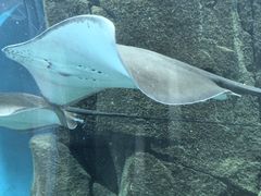 -福州罗源湾海洋世界旅游区