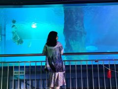 -北戴河圣蓝海洋公园