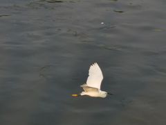 -望江楼公园
