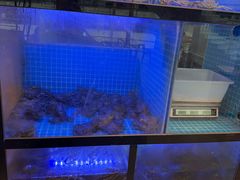 -严厨老坛酸菜鱼(金鹰店)