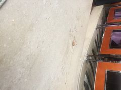 永泰福朋喜来登酒店宜客乐餐厅-永泰福朋喜来登酒店-宜客乐自助餐厅(远大路店)