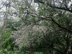 -乌山风景区