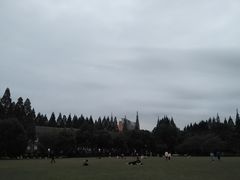 -复旦大学光华楼
