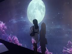 -火影忍者动画多媒体展