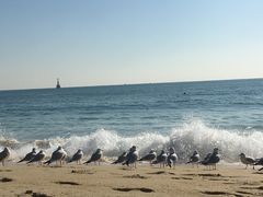 -海云台海滩