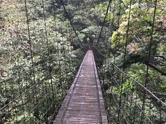 -太鲁阁公园