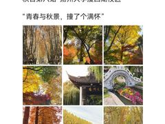 -陈记菜馆·非遗淮扬菜(东关街教场店)