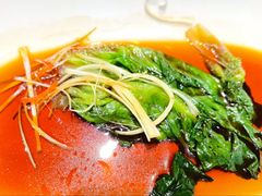 -紫光园·烤鸭·北京菜(劲松店)
