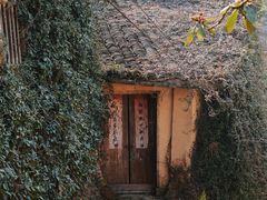 -杨家堂村