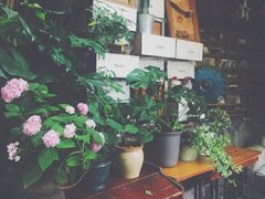 -懒鱼时光馆(沙坪坝店)