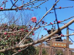 -杭州半山国家森林公园