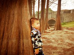 -华南国家植物园-售票处