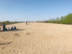 -东郊湿地公园