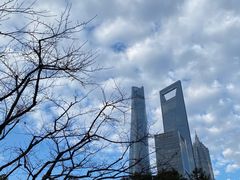-陆家嘴中心绿地