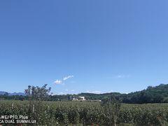 -北京张裕爱斐堡酒庄