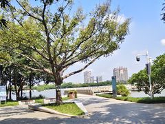 -顺峰山公园