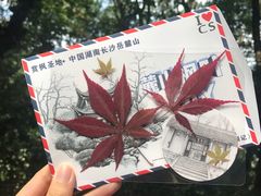 -MAMACHA妈妈茶(岳麓山店)