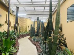 -正佳雨林生态植物园