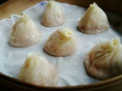 -强新鱼圆(温迪店)