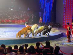 -珠海横琴长隆《卡卡虎奇遇记》