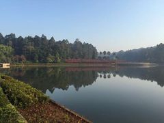 -南国桃园旅游度假区