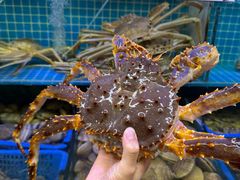-震海贝烤贝·民俗特色店(延吉总店)