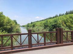 -黄海国家森林公园