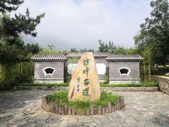 -阳台山自然风景区