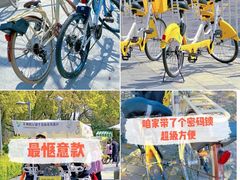 -阳澄湖半岛旅游度假区